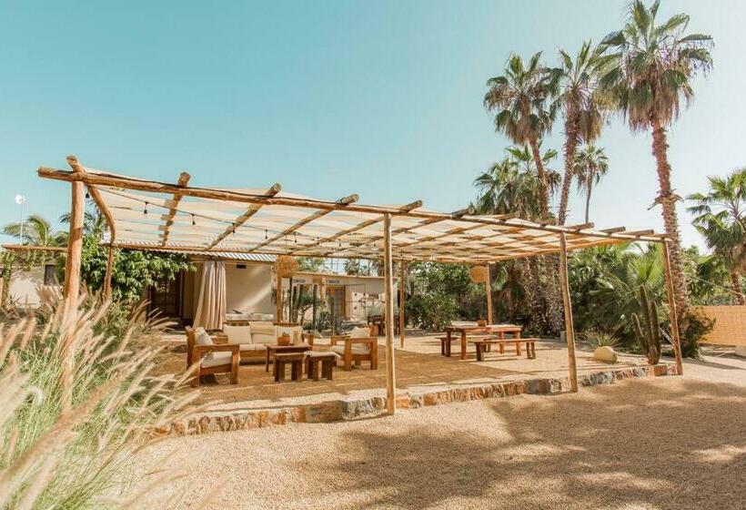 Cien Palmas Authentic Mexican Casita 3 Downtown