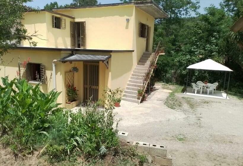 B&b Romy House