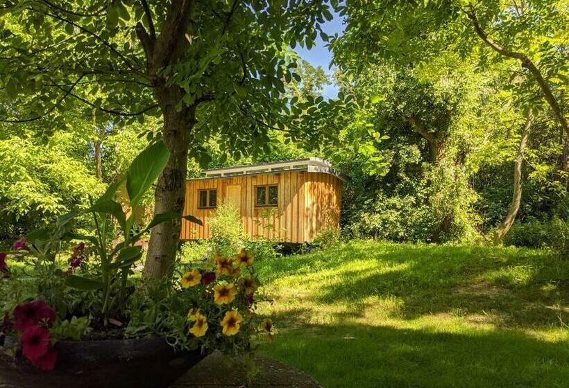 Jungle Wagon   Ecovillage Hainburg