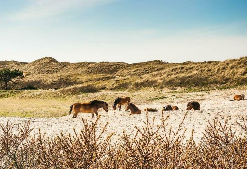Vakantiewoning T Juttershuis Egmond Aan Zee