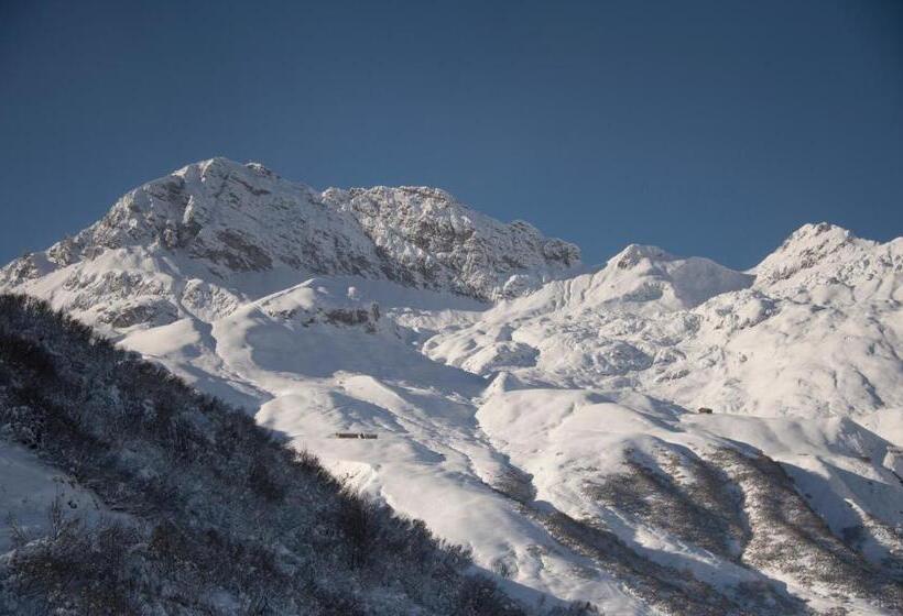 تختخواب و صبحانه Pension Daniel