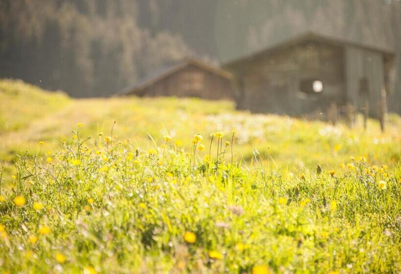 تختخواب و صبحانه Pension Daniel