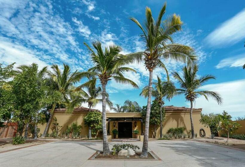 Villa Vida Cabo Authentic Spacious Ocean View Near Beach & Town