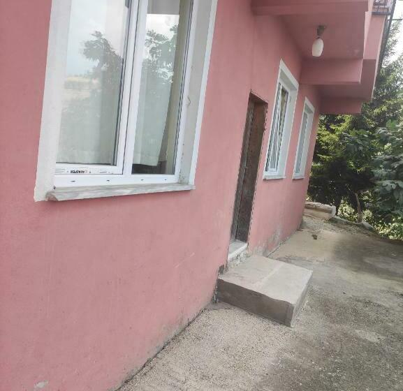 Pi̇nk Hause