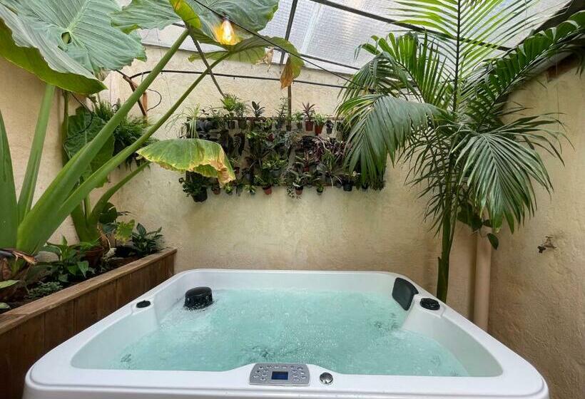 Myinsolite Cocon Tropical, Jacuzzi, énigme