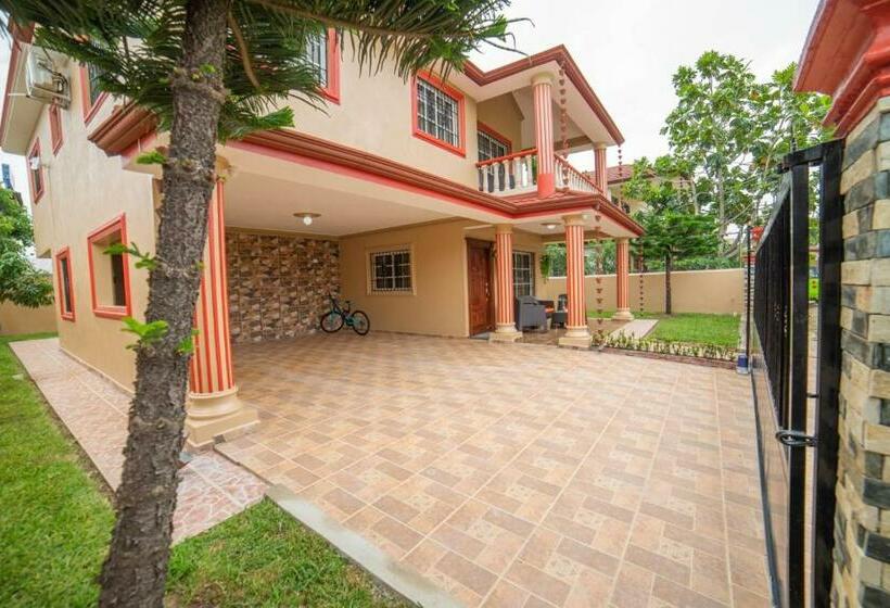 Willy S House