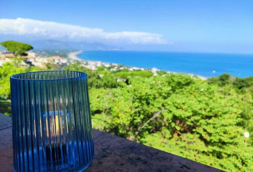 Pino Marino
