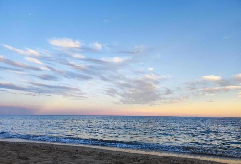 L Ostra De L Impasse