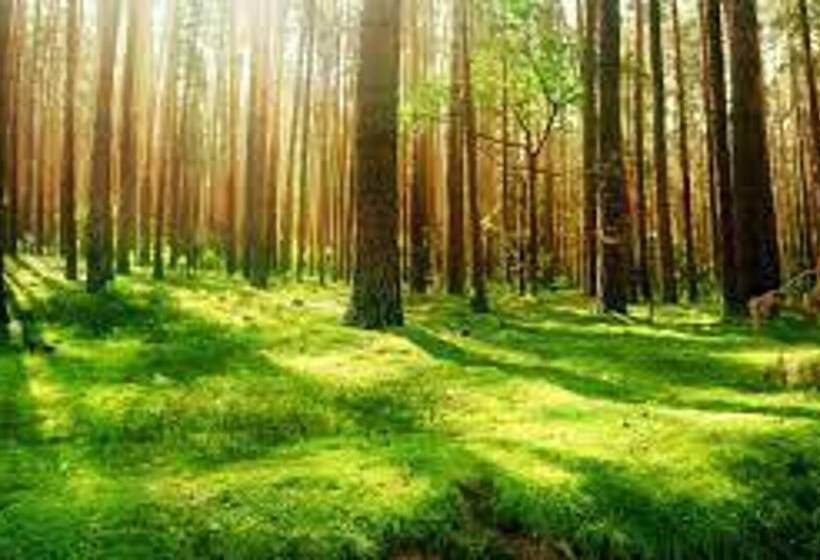 Rabbits Warren, A 2 Bed Holiday Let In The Fod