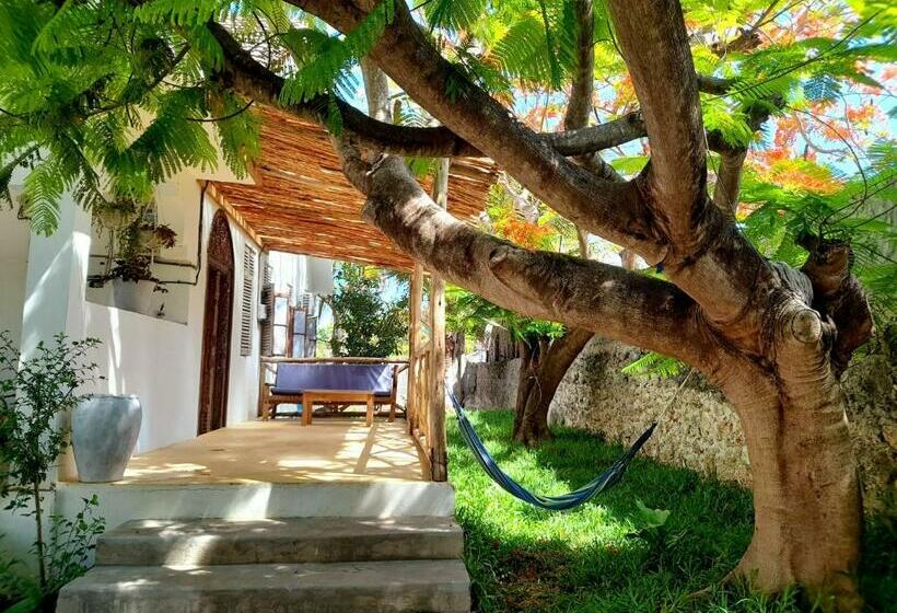Culture S Apartment