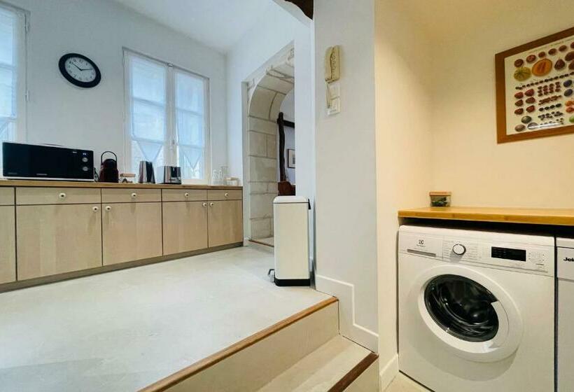 Splendid Apartment At The Foot Of The Castle Of Amboise View Of The Loir