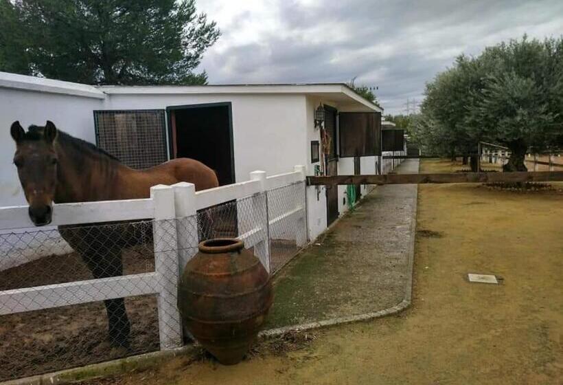 Finca Exclusiva Para 10 17 Personas