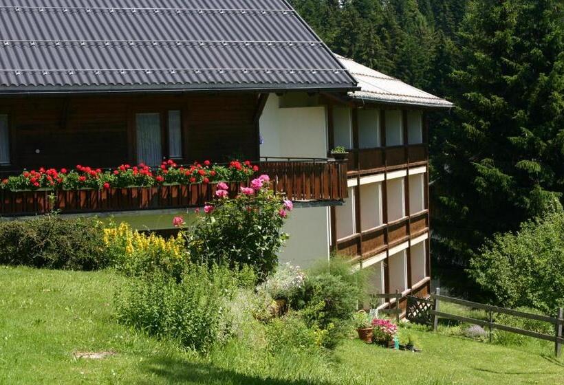 Bed and Breakfast Gasthof Hotel Ifenblick