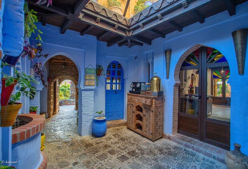 Dar Echchaouen Maison D Hôtes & Riad