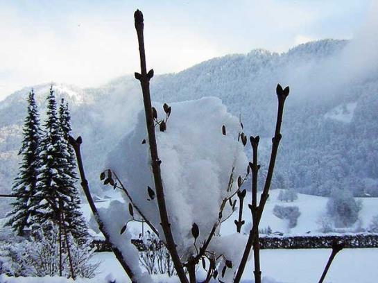 Bauernhof Greber Rita Und Wolfgang
