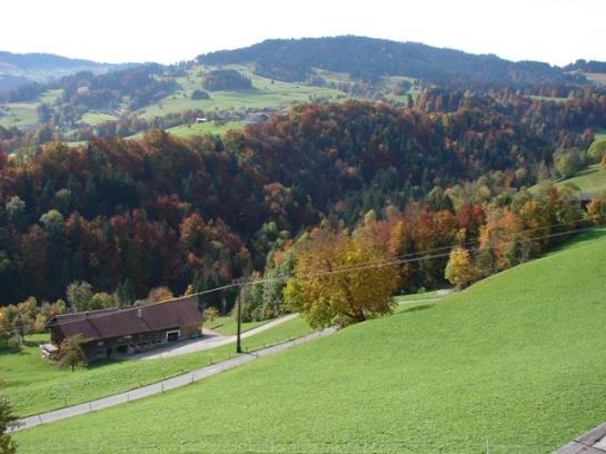 Bauernhof Held Rainer