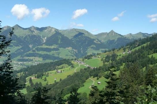 Отель Berghof Burtscher