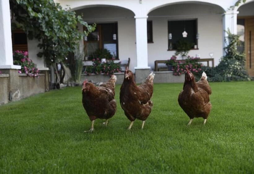 בית מלון כפרי Winzerhof Kiss