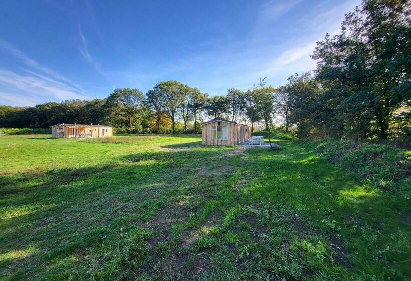 Hoeve Twente De Buizerd