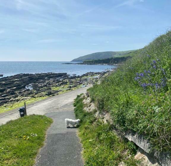 Sea Spirit Sweeping Sea Views First Floor Spacious Modern Apartment In Looe With Free Parking!
