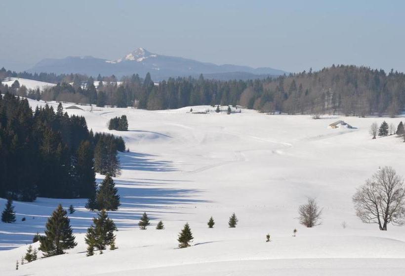 בית מלון כפרי De La Haute Montagne
