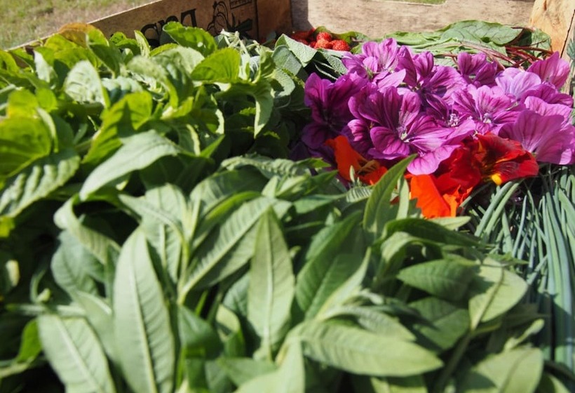 ホテル Logis Le Château De Sable