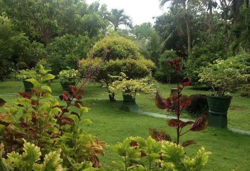 Annely S Villa