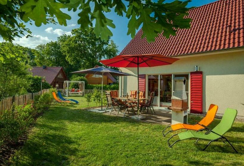 Haus Pangea   B47690