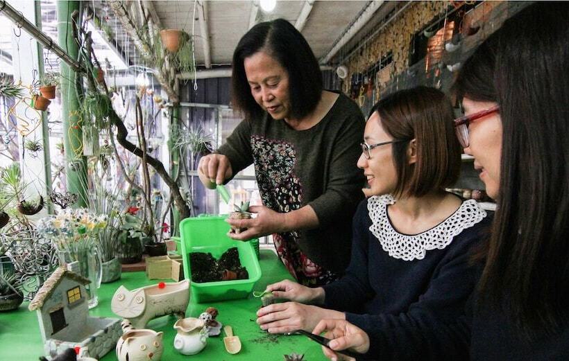 هتل H& Alishan Sunrise B&b