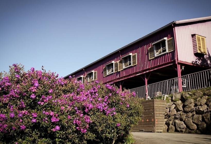 هتل H& Alishan Sunrise B&b