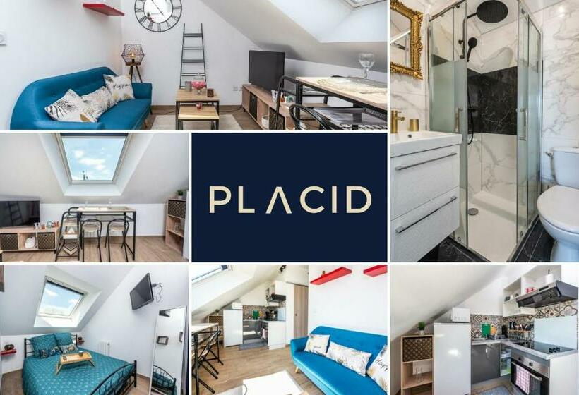 Le Bonbon D Or Wifi Gratuite Appartement Paisible