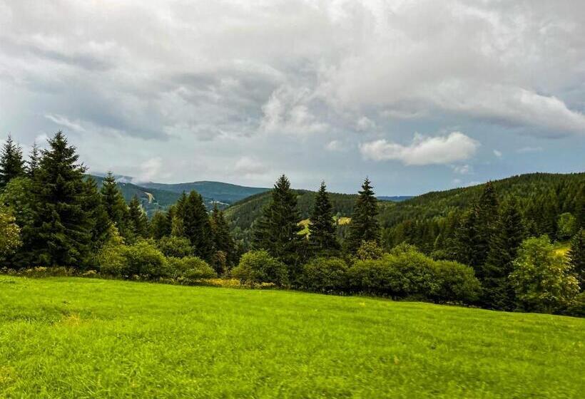 پانسیون Horský Penzion Vebrovy Boudy