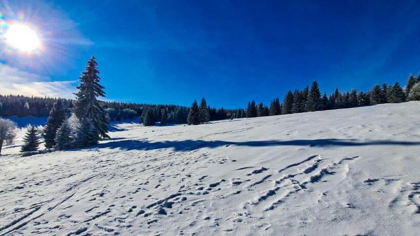 پانسیون Horský Penzion Vebrovy Boudy