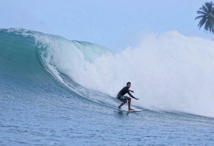 هتل Barriga Feliz Surf Camp