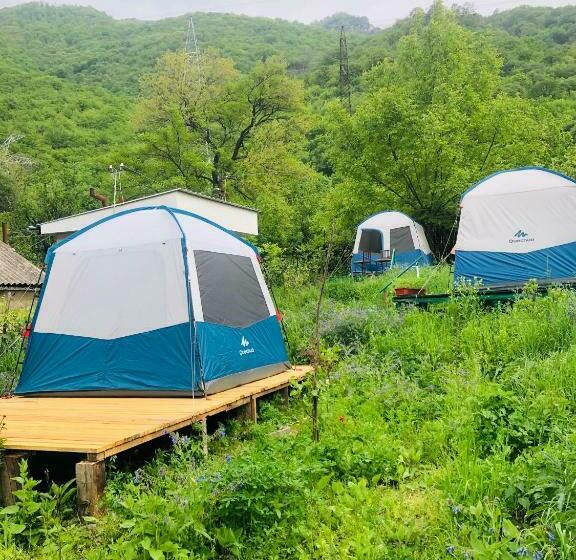 Bed and Breakfast тереза кемпинг