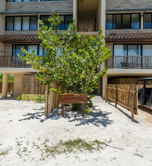 Ocean View Loft In Punta Cocos C102