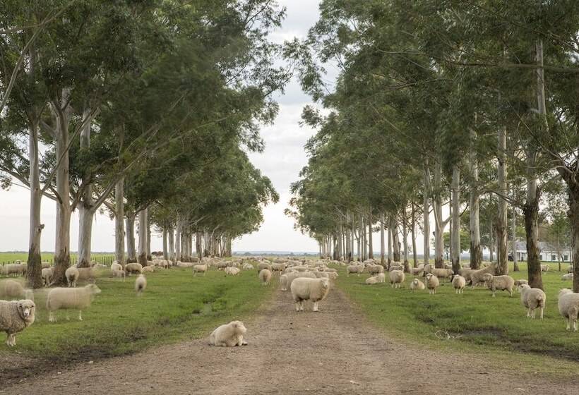 הוסטל Estancia San Agustin
