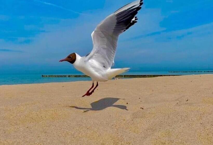 Ferienwohnung Zur Kühlung