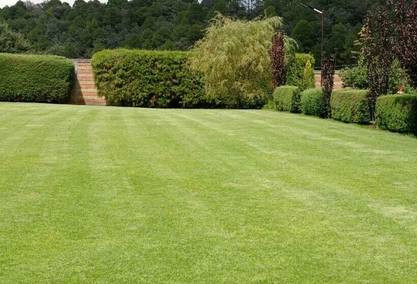 ペンション Finca Marix, Villa Del Carbón