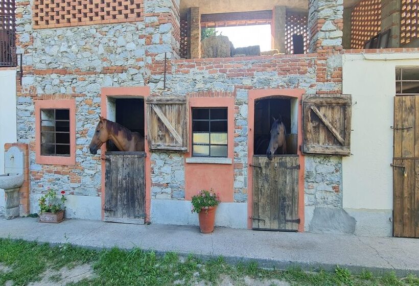 Timeless L  Antico Mulino Della Bozza   Happy Rentals