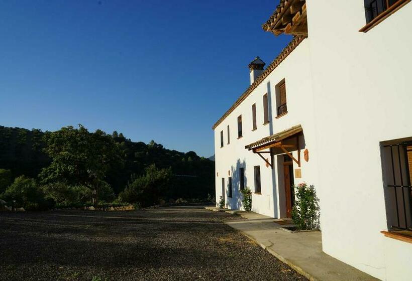 هتل Hacienda Molino Nuevo