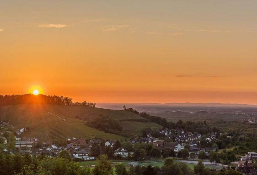 Ferienwohnung Panorama Suite