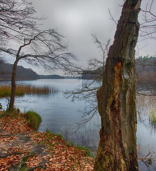 Отель Am Liepnitzsee