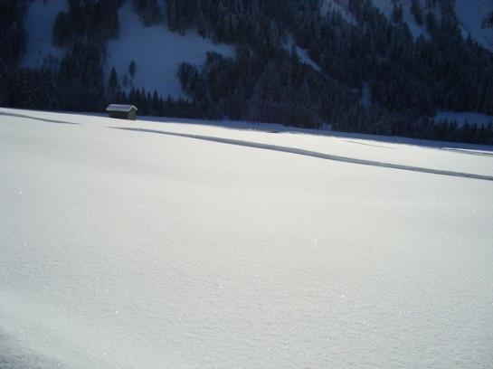 Ferienbauernhof Beer