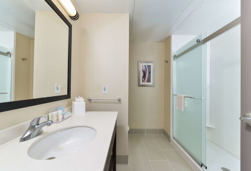 هتل Hampton Inn & Suites Des Moines Downtown