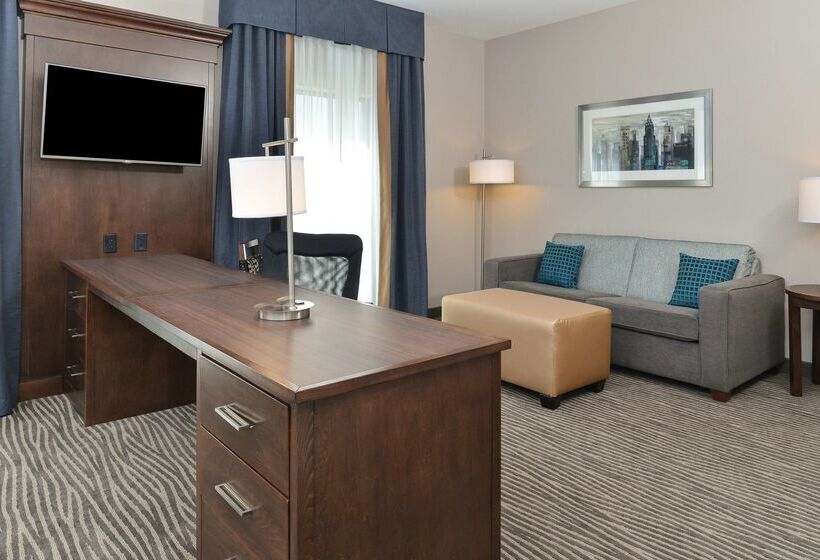 هتل Hampton Inn & Suites Des Moines Downtown