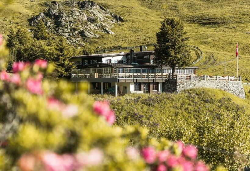 Отель Alpenblick Bergrestaurant &