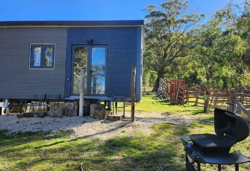 Отель Tiny Home Bluebird