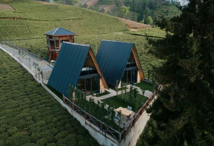 هتل Mosa Bungalov