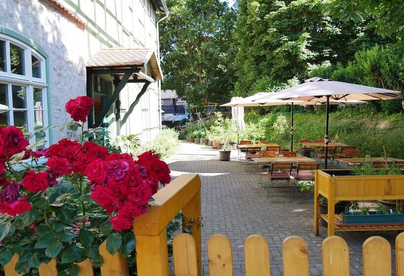 ホテル Schloss Goldacker  Das Schloss Der Gesundheit